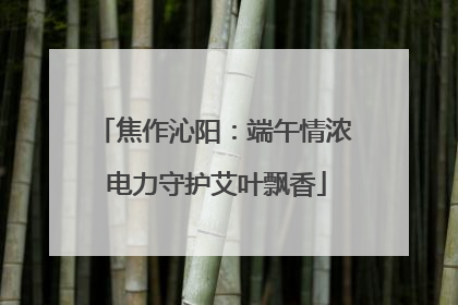 焦作沁阳：端午情浓 电力守护艾叶飘香