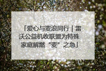 爱心与麦浪同行｜雷沃公益机收联盟为特殊家庭解燃“麦”之急