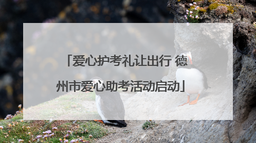 爱心护考礼让出行 德州市爱心助考活动启动