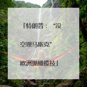 特朗普：“没空理马斯克” 欧洲抛橄榄枝