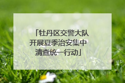 牡丹区交警大队开展夏季治安集中清查统一行动