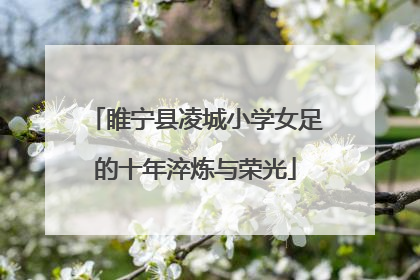 睢宁县凌城小学女足的十年淬炼与荣光