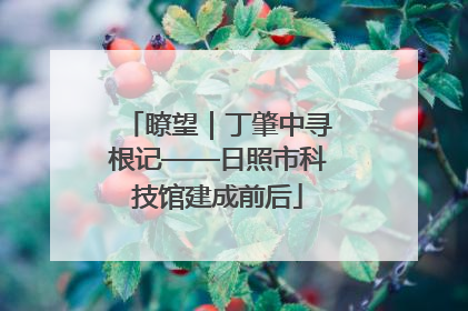 瞭望｜丁肇中寻根记——日照市科技馆建成前后