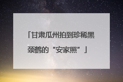 甘肃瓜州拍到珍稀黑颈鹤的“安家照”