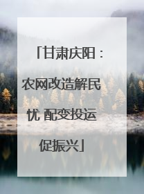 甘肃庆阳：农网改造解民忧 配变投运促振兴