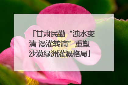 甘肃民勤“浊水变清 漫灌转滴”重塑沙漠绿洲灌溉格局