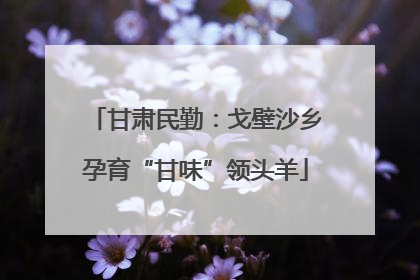 甘肃民勤:戈壁沙乡孕育“甘味”领头羊
