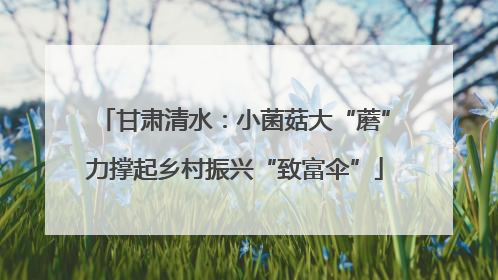 甘肃清水：小菌菇大“蘑”力撑起乡村振兴“致富伞”