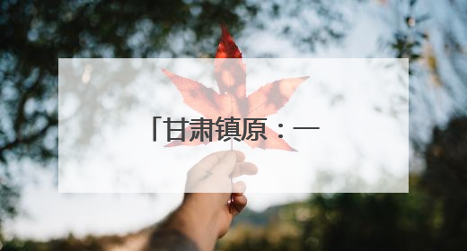 甘肃镇原：一袭剪云裳 解锁跨界新风尚