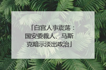 白宫人事震荡：国安委裁人、马斯克暗示淡出政治