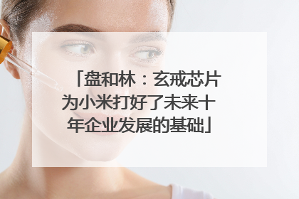 盘和林：玄戒芯片为小米打好了未来十年企业发展的基础