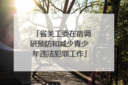 省关工委在宿调研预防和减少青少年违法犯罪工作