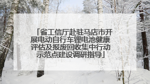 省工信厅赴驻马店市开展电动自行车锂电池健康评估及报废回收集中行动示范点建设调研指导