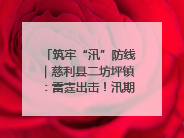 筑牢“汛”防线｜慈利县二坊坪镇：雷霆出击！汛期捕鱼被紧急叫停