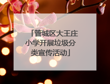 管城区大王庄小学开展垃圾分类宣传活动