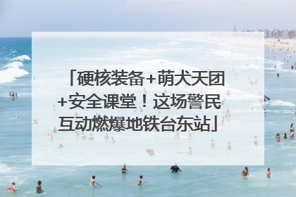 硬核装备+萌犬天团+安全课堂！这场警民互动燃爆地铁台东站