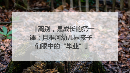 离别，是成长的第一课：月雅河幼儿园孩子们眼中的“毕业”