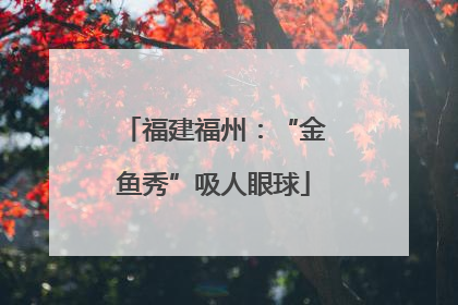 福建福州：“金鱼秀”吸人眼球