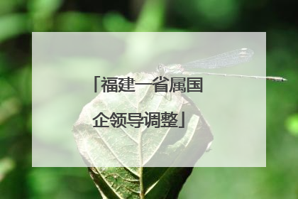 福建一省属国企领导调整