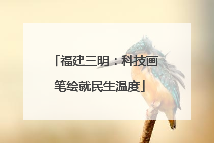 福建三明：科技画笔绘就民生温度