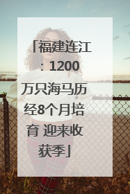 福建连江：1200万只海马历经8个月培育 迎来收获季