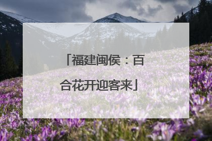 福建闽侯：百合花开迎客来