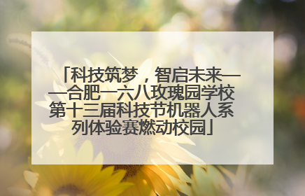 科技筑梦，智启未来——合肥一六八玫瑰园学校第十三届科技节机器人系列体验赛燃动校园