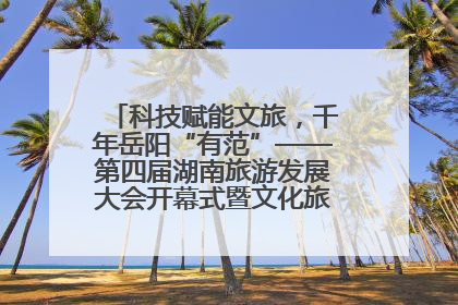 科技赋能文旅，千年岳阳“有范”——第四届湖南旅游发展大会开幕式暨文化旅游推介会侧记