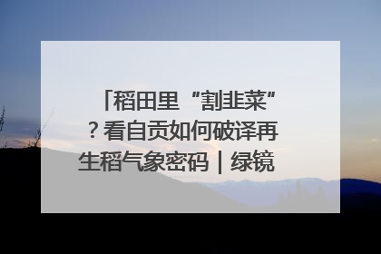 稻田里“割韭菜”？看自贡如何破译再生稻气象密码｜绿镜头·发现中国