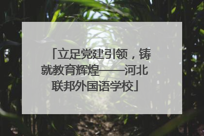 立足党建引领，铸就教育辉煌——河北联邦外国语学校