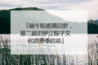 端午粽香满汨罗，第二届汨罗江粽子文化消费季启幕