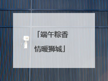 端午粽香 情暖狮城