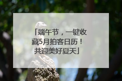 端午节，一键收藏5月拍客日历！共迎美好夏天