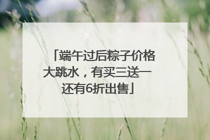 端午过后粽子价格大跳水，有买三送一还有6折出售