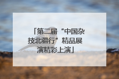 第二届“中国杂技北疆行”精品展演精彩上演