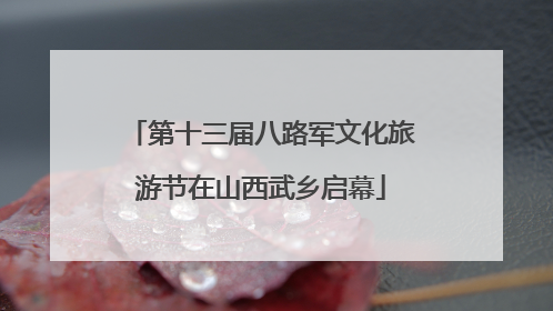 第十三届八路军文化旅游节在山西武乡启幕