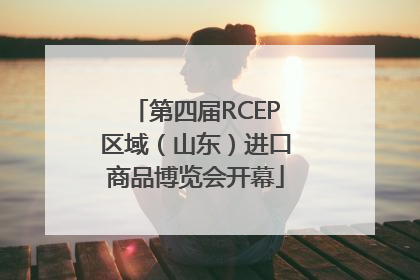 第四届RCEP区域（山东）进口商品博览会开幕
