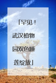 罕见！武汉植物园双色睡莲绽放