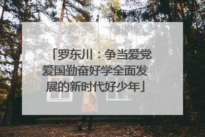 罗东川：争当爱党爱国勤奋好学全面发展的新时代好少年