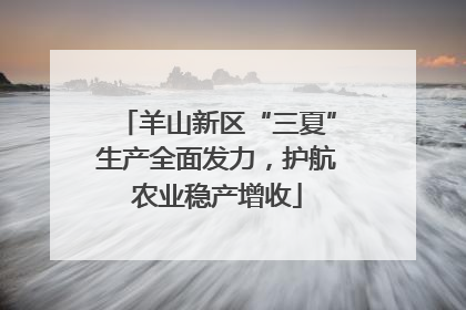 羊山新区“三夏”生产全面发力，护航农业稳产增收