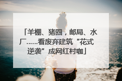 羊棚、猪圈，邮局、水厂……看废弃建筑“花式逆袭”成网红村咖