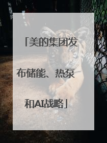 美的集团发布储能、热泵和AI战略