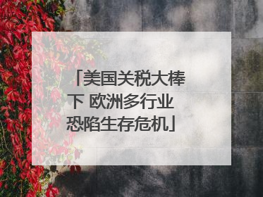 美国关税大棒下 欧洲多行业恐陷生存危机