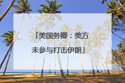 美国务卿：美方未参与打击伊朗
