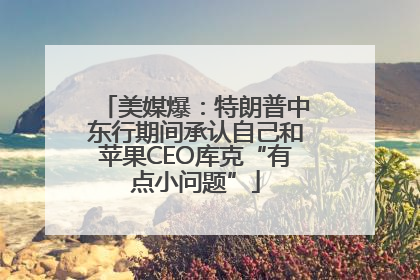 美媒爆：特朗普中东行期间承认自己和苹果CEO库克“有点小问题”