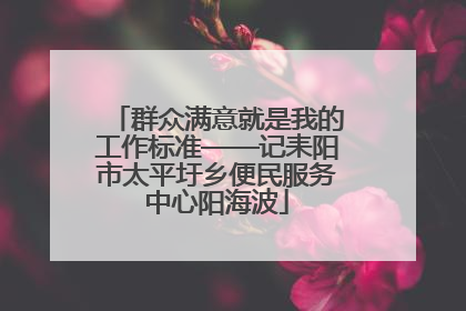 群众满意就是我的工作标准——记耒阳市太平圩乡便民服务中心阳海波