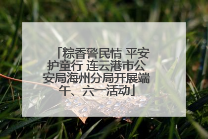 粽香警民情 平安护童行 连云港市公安局海州分局开展端午、六一活动