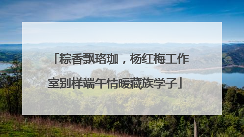 粽香飘珞珈，杨红梅工作室别样端午情暖藏族学子