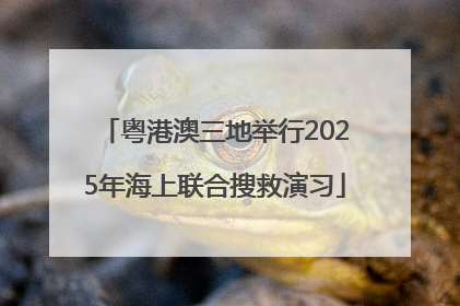 粤港澳三地举行2025年海上联合搜救演习