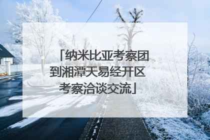 纳米比亚考察团到湘潭天易经开区考察洽谈交流